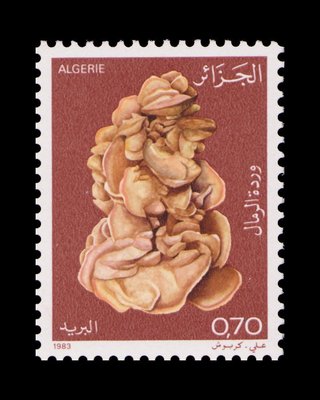 Desert Rose - Algeria - 1983 -- 27/09/08