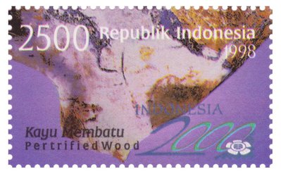 Petrified Wood - Indonesia - 1998 -- 08/02/09