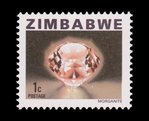 Morganite - Zimbabwe - 1980 -- 24/10/08