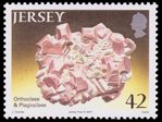 Orthoclase and Plagioclase - Jersey - 2007 -- 11/11/08